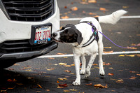 Northwest Obedience Club Inc. / NACSW NW3/ Schaumburg, IL / 11-10-24